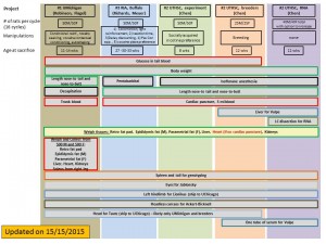 Flowchart Rats dissection all 15-15-15